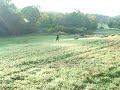 FARMER CATCHES BIGFOOT ON VIDEO FARMER CATCHES BIGFOOT ON VIDEO