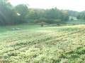 FARMER CATCHES BIGFOOT ON VIDEO