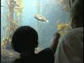 Camp SEA Lab - Science, Education & Adventure