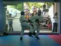Hwa Rang Tang Soo Do - Dimitris Trigonis