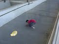 Parkour Mealhada David Breda Parkour Mealhada David Breda