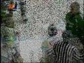 deg-augsburg-schl-gerei-.html