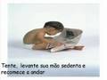 Tente outra Vez