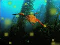 Liquid Stranger - Deep Down Below  (Interchill)