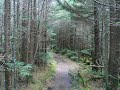 Mount Mitchell.wmv Mount Mitchell.wmv