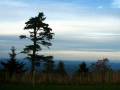 videos de Mount Mitchell.wmv