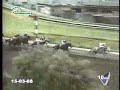 XXIV Clasico asociacion latinoamericana de jockey clubes XXIV Clasico asociacion latinoamericana de jockey clubes
