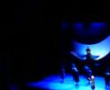 EVITA in Dutch