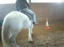Riding Round The Obstical Course