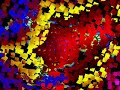 Incense & Peppermints - Lsd trip in the colors Incense & Peppermints - Lsd trip in the colors