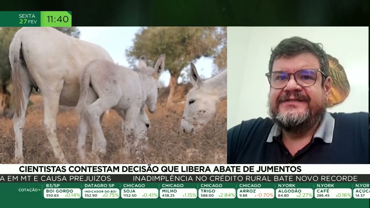 Cientistas contestam decisão que libera abate de jumento