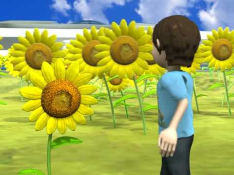 3d-animation1-minute-drshell