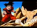 DBZ: Right Here Right Now