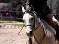 Horse Show at KJM (hunter 2)