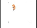 Gestacion bebe Gestacion bebe
