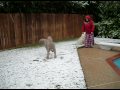 SDC10166.AVI