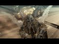 ベヨネッタ Bayonetta JP - Ch04 Boss 