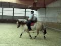 Reitstunde 06.10.2008