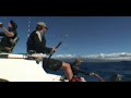 Kite Fishing Hawaii Kite Fishing Hawaii