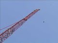 Cranes