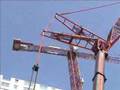 Cranes