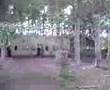 Delta Force Paintball Cramlington Last Stand 1 04/08/2004