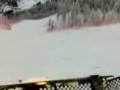 videos de vericello leitwolf in pista Agonostica canin
