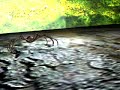 Aranha 3d Max