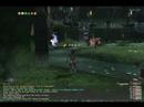 FFXI : ISNM {Making the Mockery}