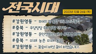 전국시대