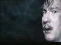 Harry Potter-Fight the moonlight