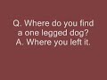 Funniest Jokes Ever