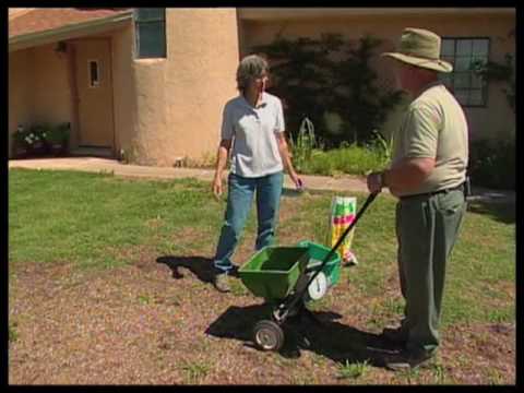 how to fertilize turf