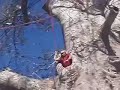 climbing out of a big tree