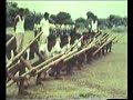 Muktijoddha training