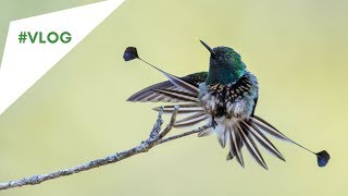 O PORQUE de não desperdiçar as suas oportunidades de fotografar.
Talvez elas nunca mais se repitam.