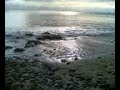 waves waves