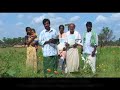 a short film about Buy One Grow One Tree