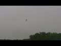 4 Year Old Justin/chi - Trex600 - June 2007 - MHA Fun-Fly