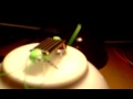 (uploaded by alasko)&nbsp;My pet Locust loves African Music