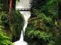 The Big Beat (Forest Mix)