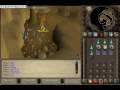 Monkey Madness Guide - BattleScape-
