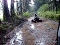 Yamaha Raptor 250 Yamaha Raptor 250