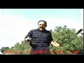 zmaj-od-sipova-sahrana-6-deo.html