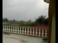 videos de dolly-en matamoros
