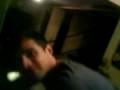 videos de perro en el culo