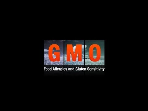 309 - GMO Food Allergies & Gluten Sensitivity - Jeffrey Smith