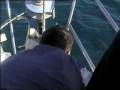 videos de Ponza