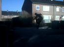 streetsoccer