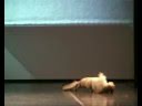 Imagen de previsualización de YouTube